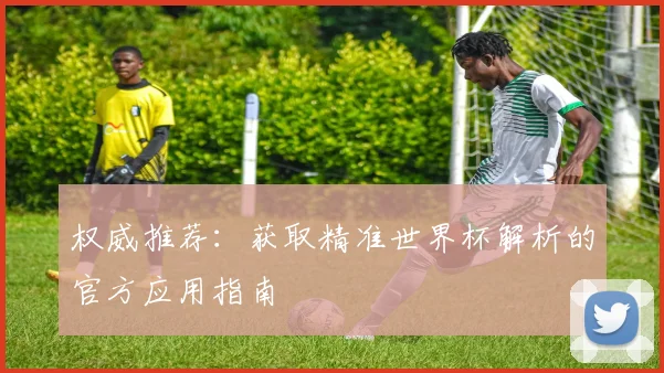 权威推荐：获取精准世界杯解析的官方应用指南