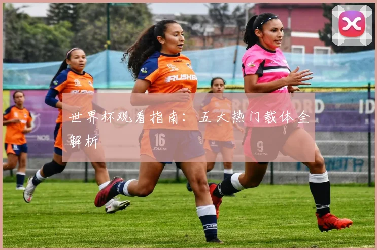 世界杯观看指南：五大热门载体全解析