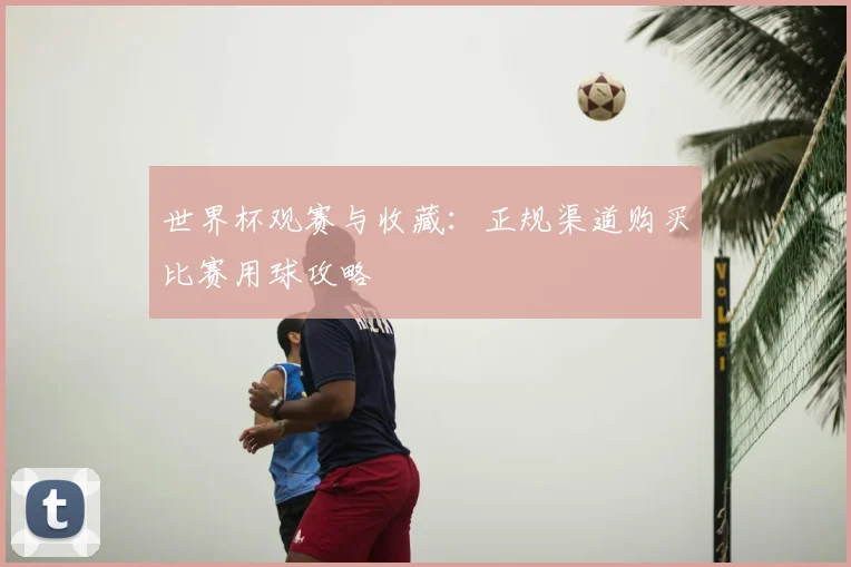 世界杯观赛与收藏：正规渠道购买比赛用球攻略