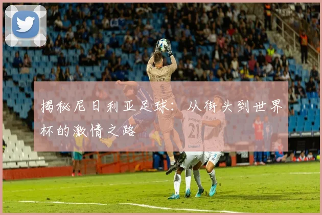 揭秘尼日利亚足球：从街头到世界杯的激情之路